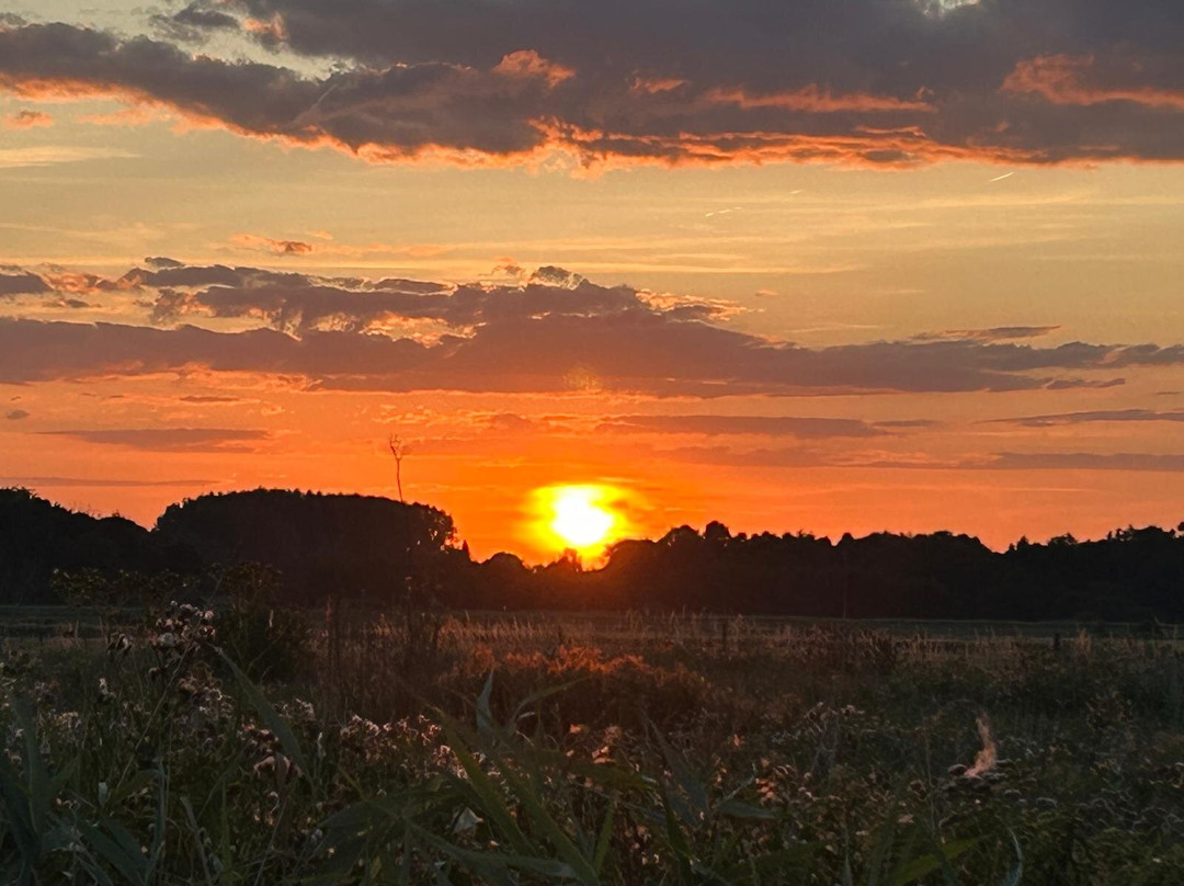 The Broads National Park-诺威奇必去景点
