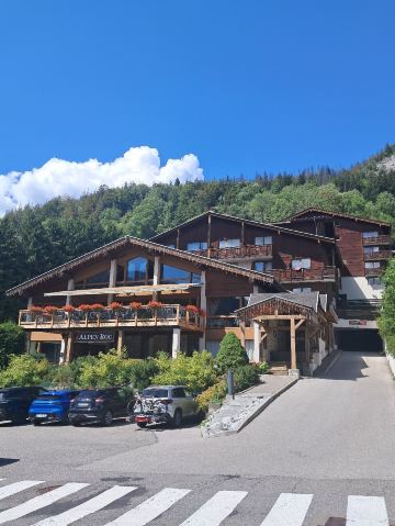 阿尔卑斯岩石酒店-旅行者