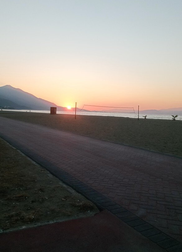 Hayal Bahçesi