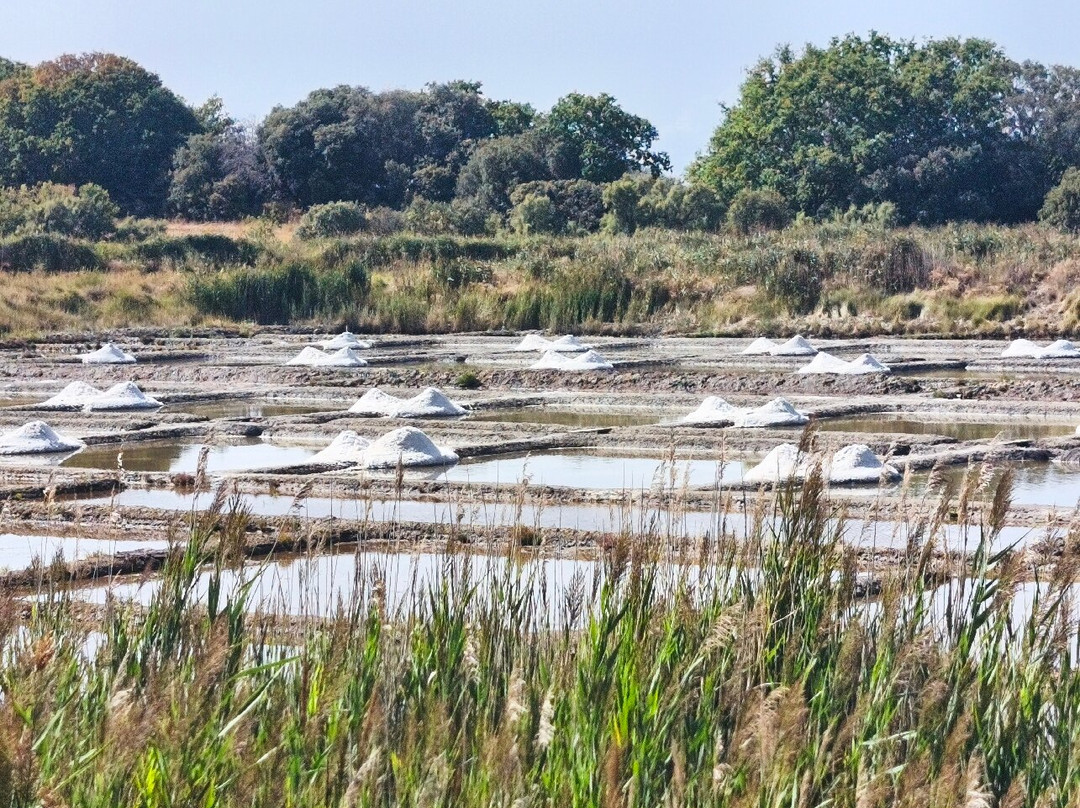 Salines de Truscat