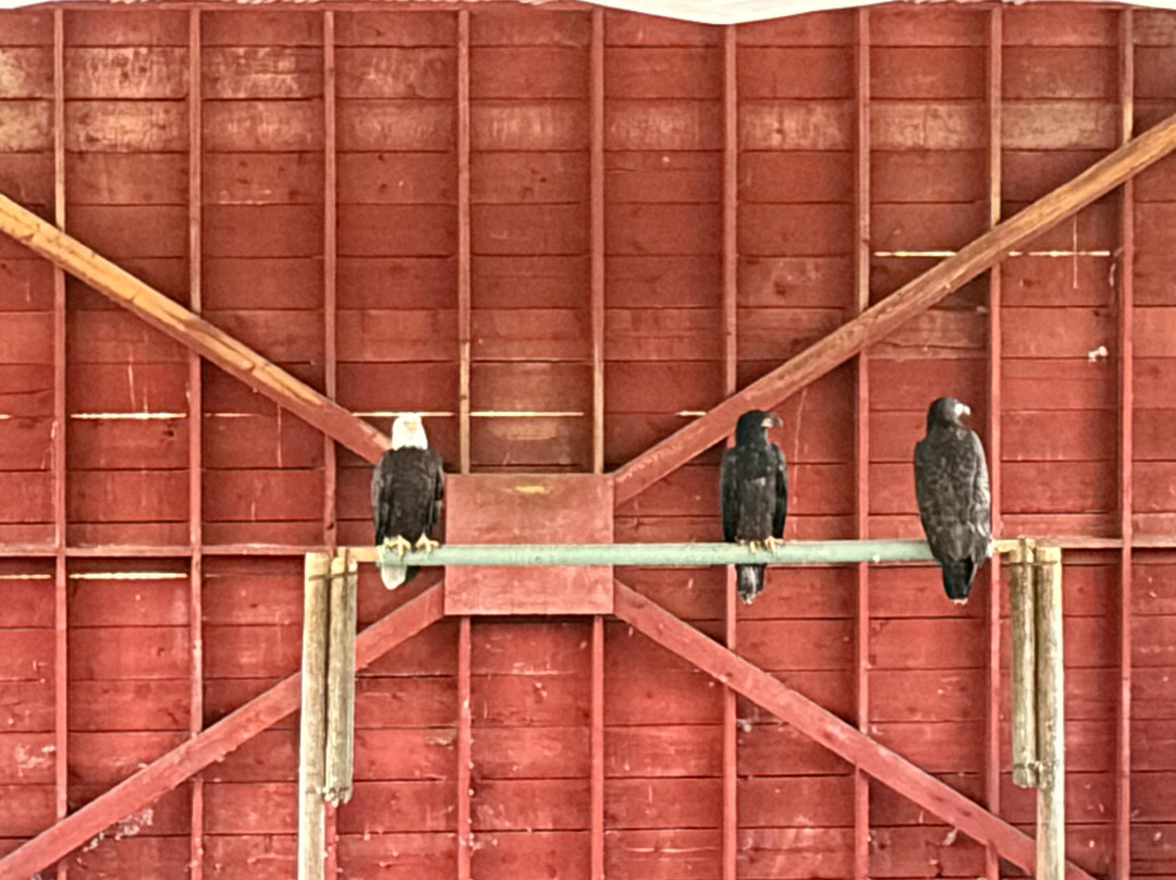 North Island Wildlife Recovery Centre-Errington必去景点