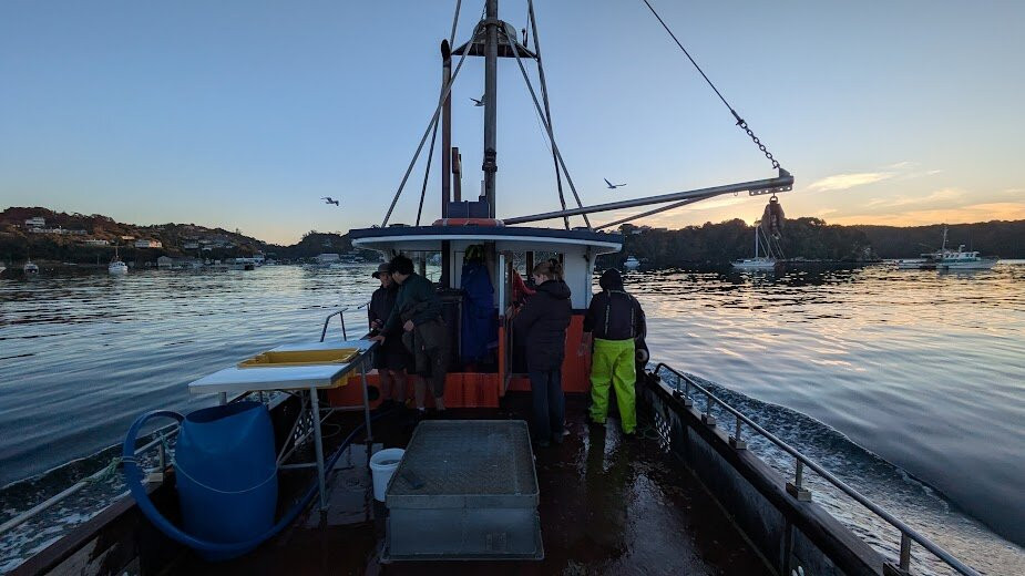 Tequila Fishing & Bird Watching Charters-Oban必去景点