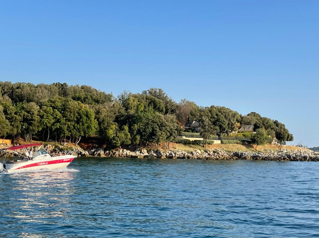 Dolphin Tours Istria-冯塔纳必去景点