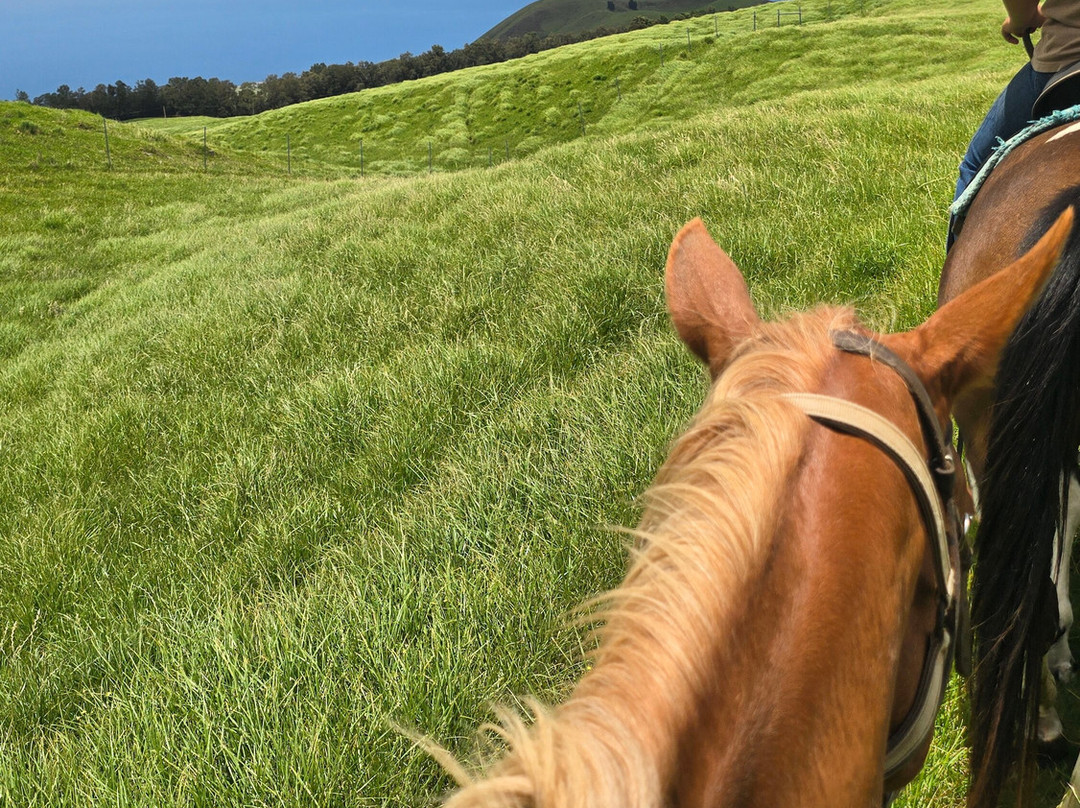 Na'alapa Stables - Kahua Ranch-卡慕也拉必去景点