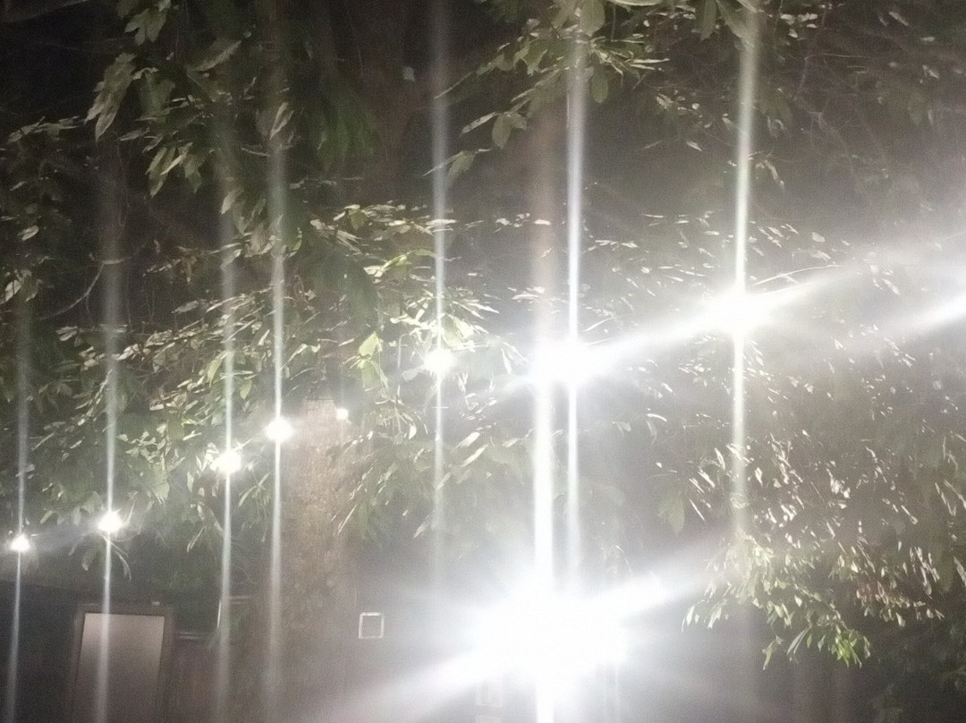 Douglasia Park-Sersale必去景点