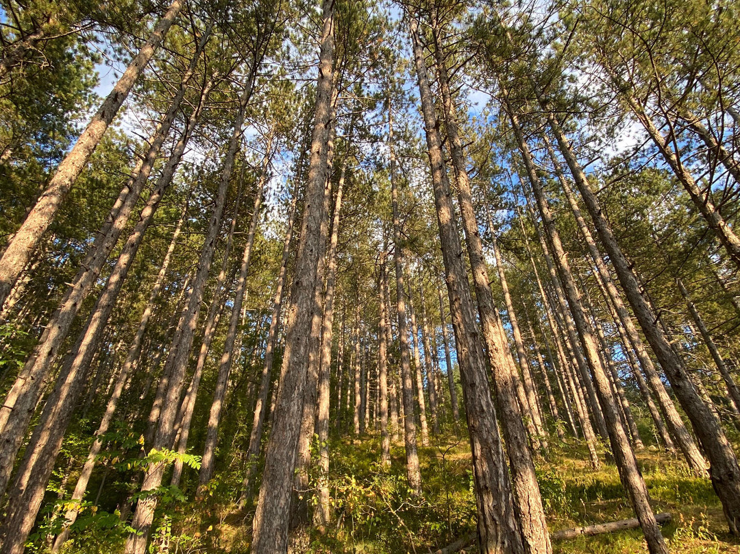 Nature Park Mokra Gora-Mokra Gora必去景点