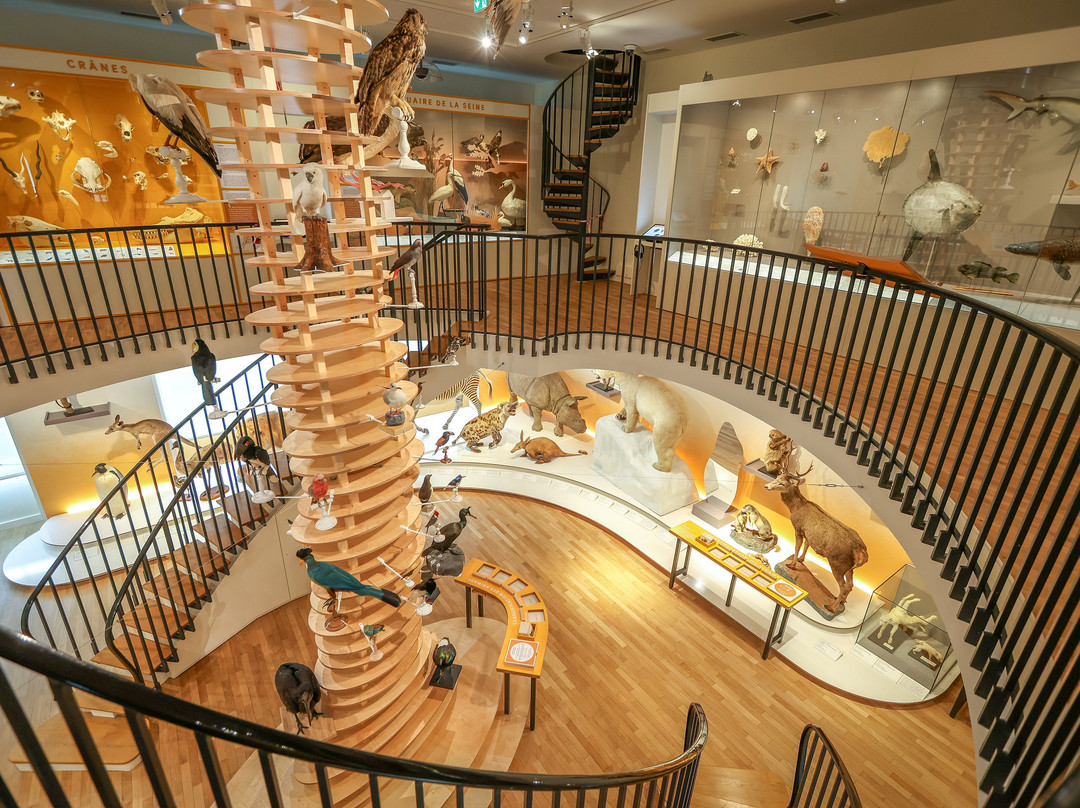 Muséum d'Histoire Naturelle-勒阿弗尔必去景点