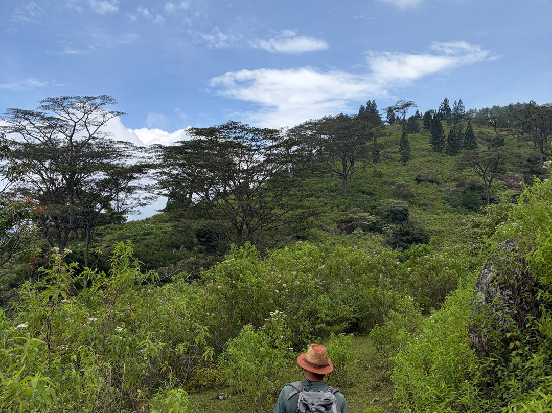 Kandy Trekking Tours-康提必去景点