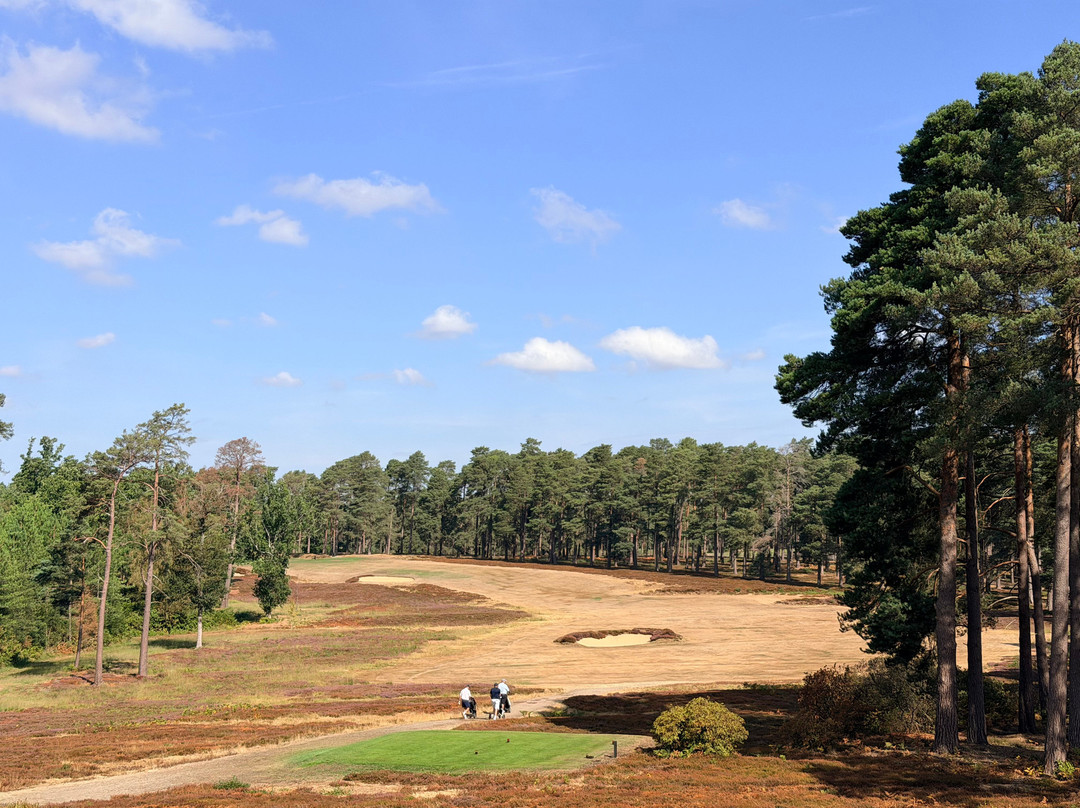 Swinley Forest Golf Club-Ascot必去景点