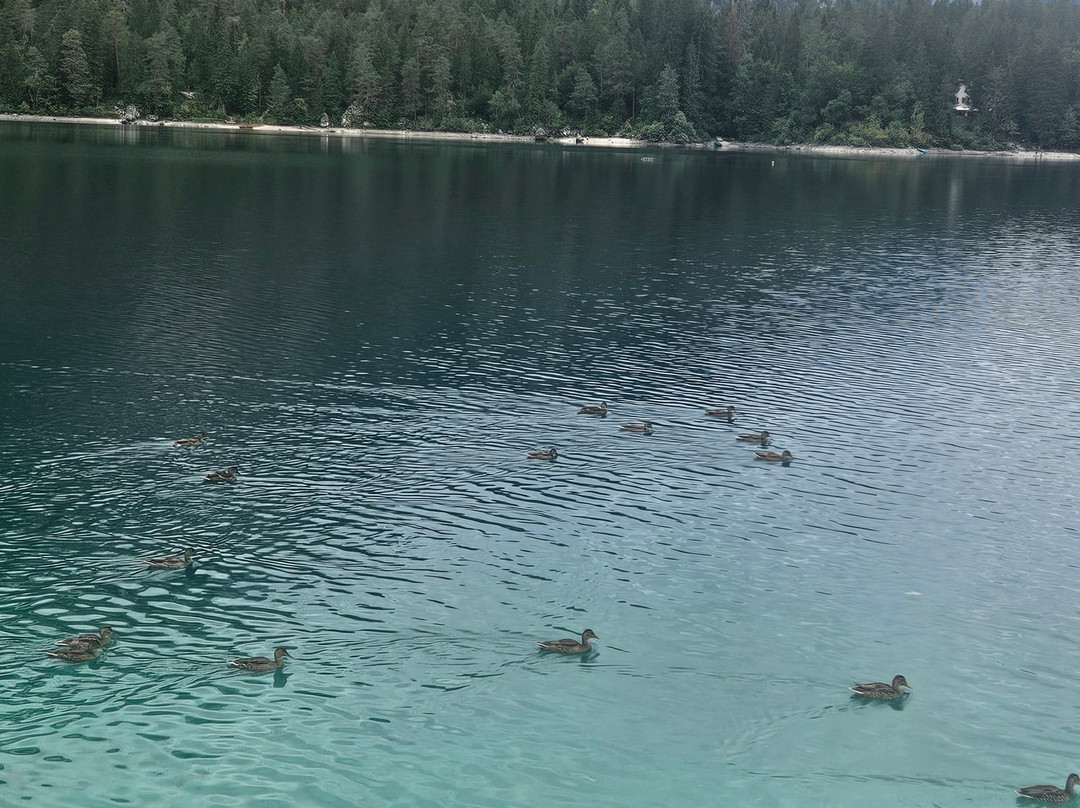 Lago Di Tovel-Tuenno必去景点