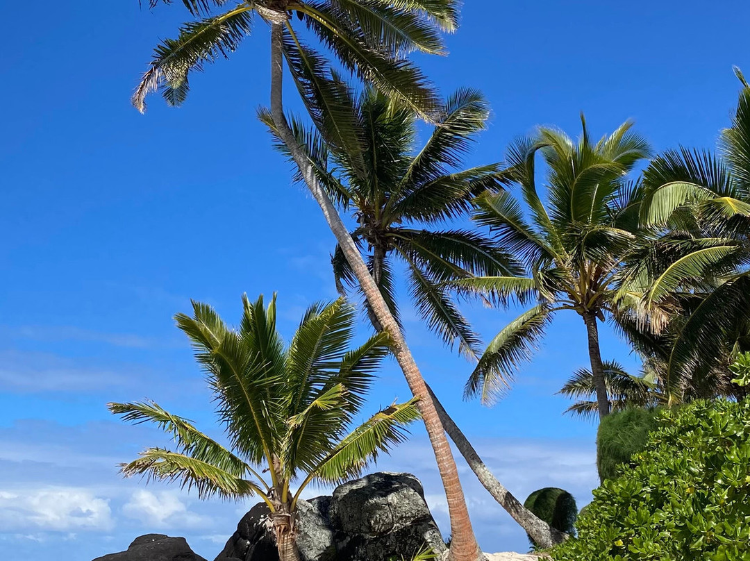 Te Manava Luxury Villas主图