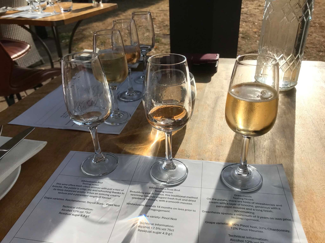 Denbies Wine Estate Ltd-多肯必去景点