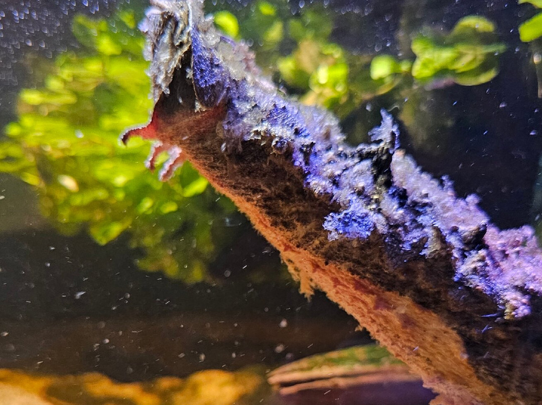 Neotropica, Postojna, Slovenia-波斯托伊纳必去景点
