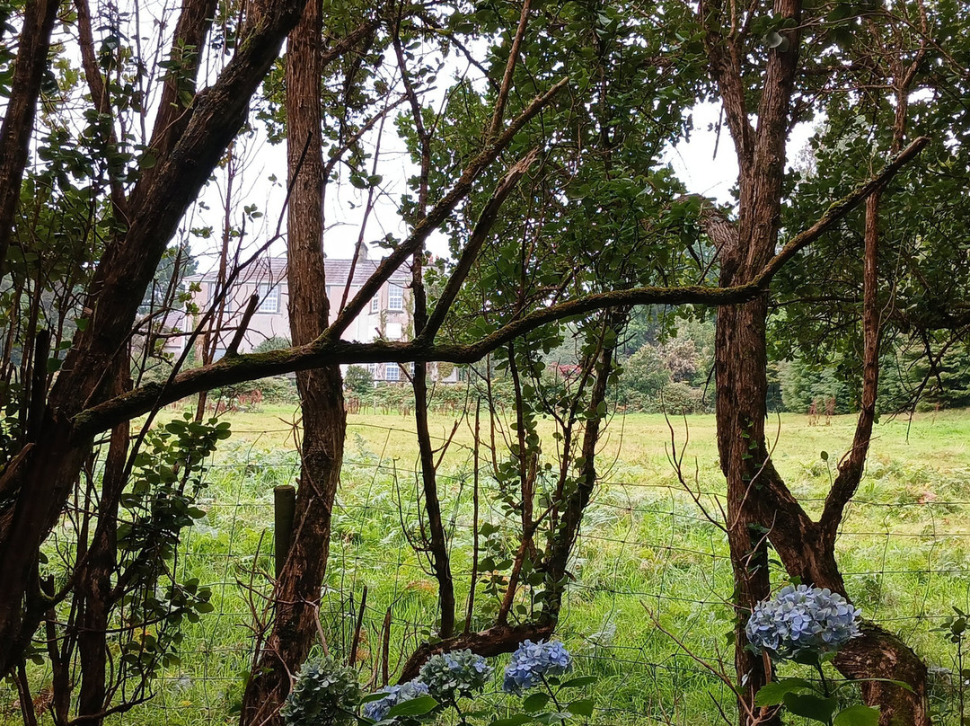 Glanleam House & Subtropical Gardens-Valentia Island必去景点