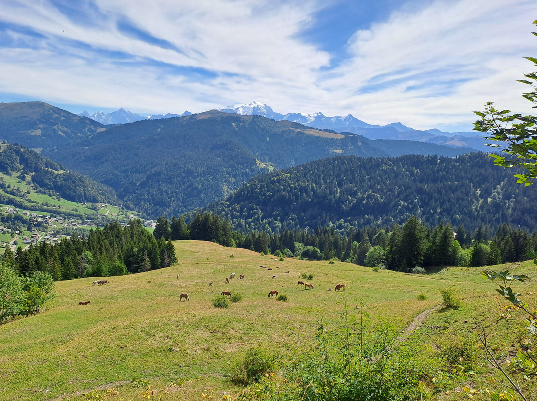 Col des Aravis-拉克吕萨必去景点