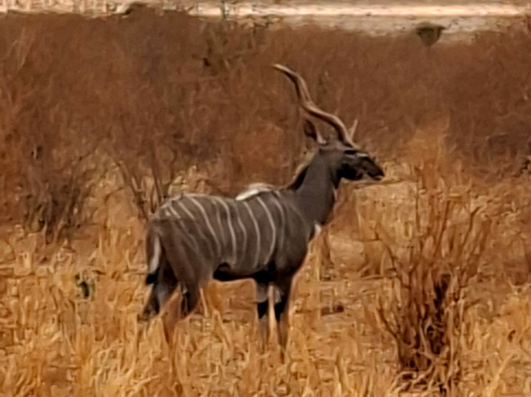 Top Africa Safaris-迪亚尼必去景点