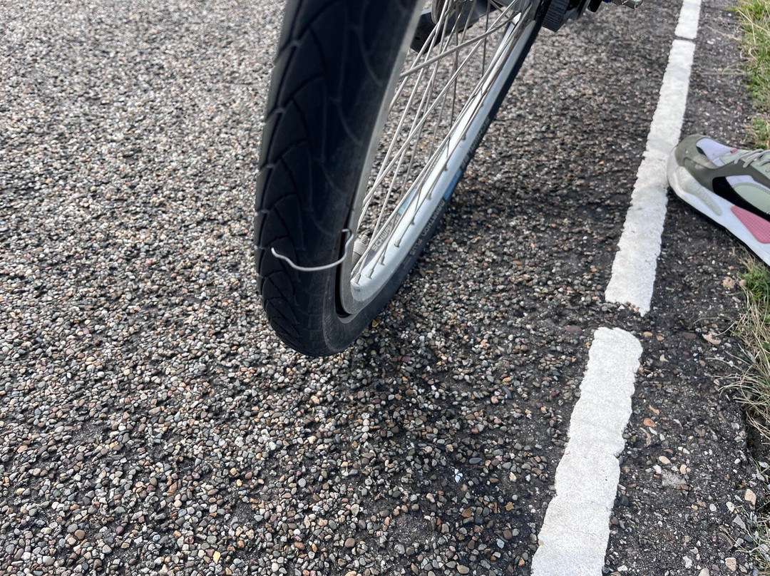 Rent-a-Bike Van Dam-诺德韦克豪特必去景点