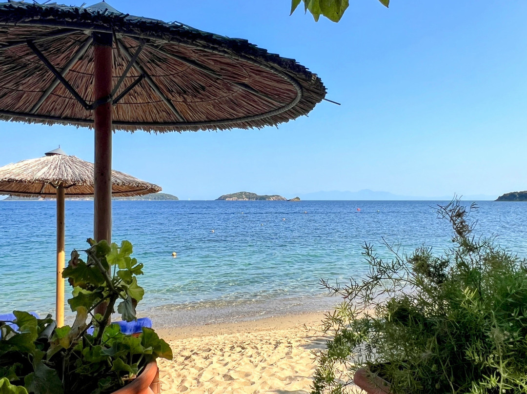 Mojo Bar by the Sea-Skiathos Town必去景点