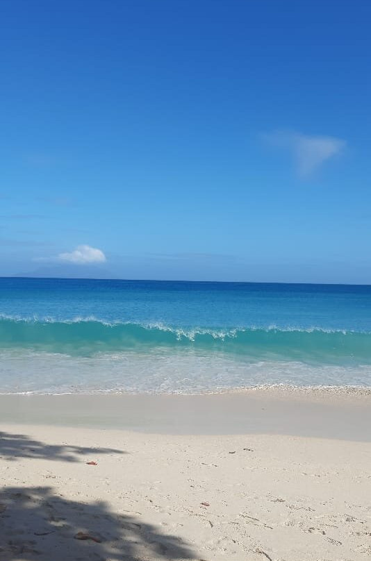 珊瑚海岸智选酒店主图