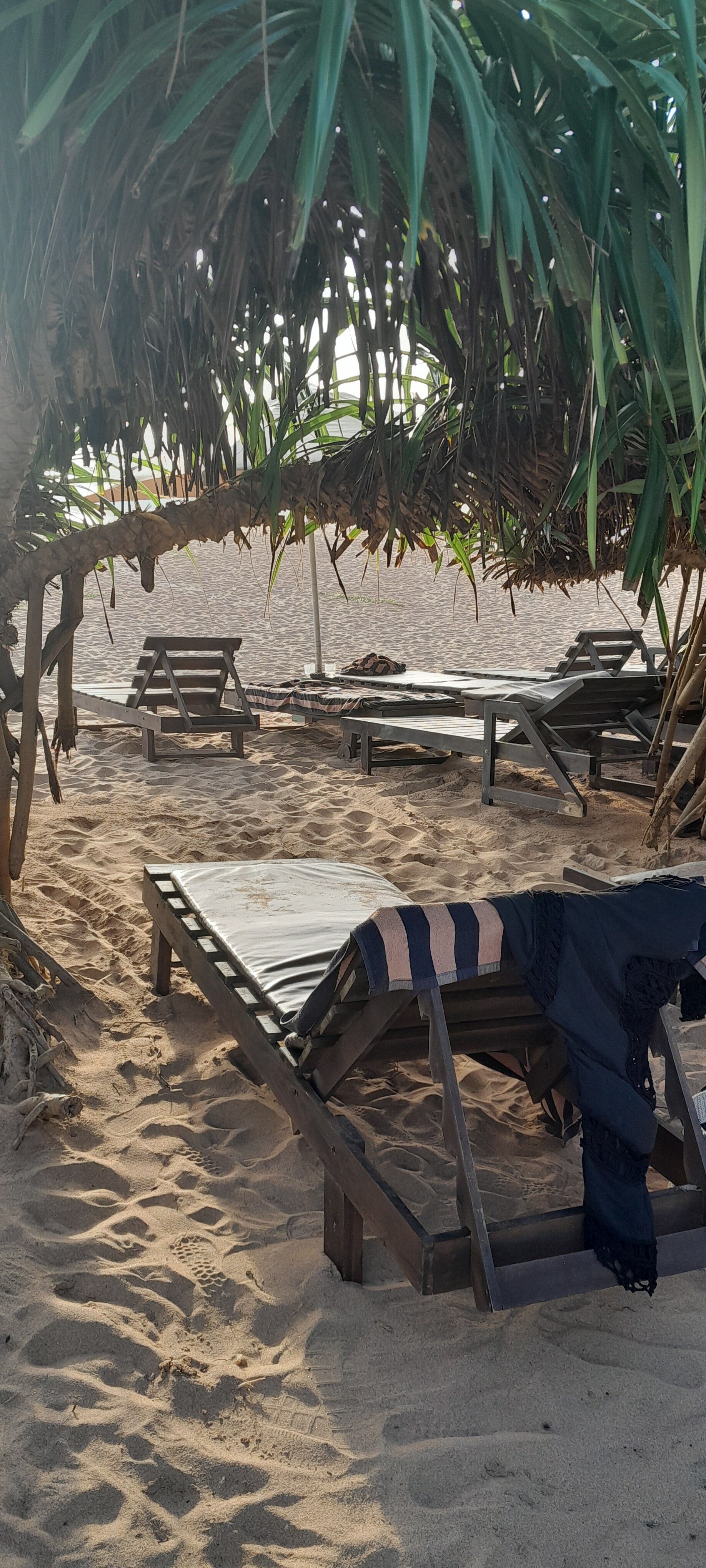 潘达努斯海滩水疗度假村-旅行者