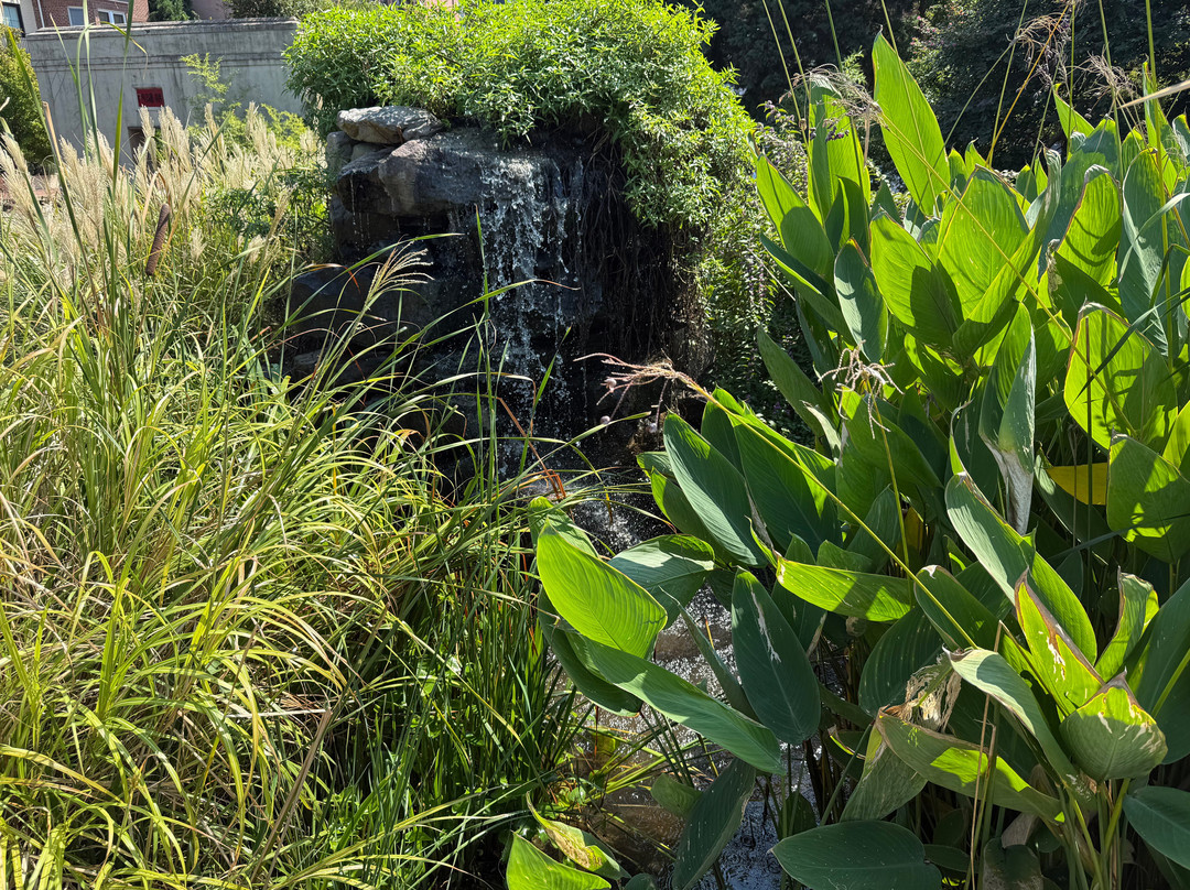 Pagoda & Oriental Garden-诺福克必去景点