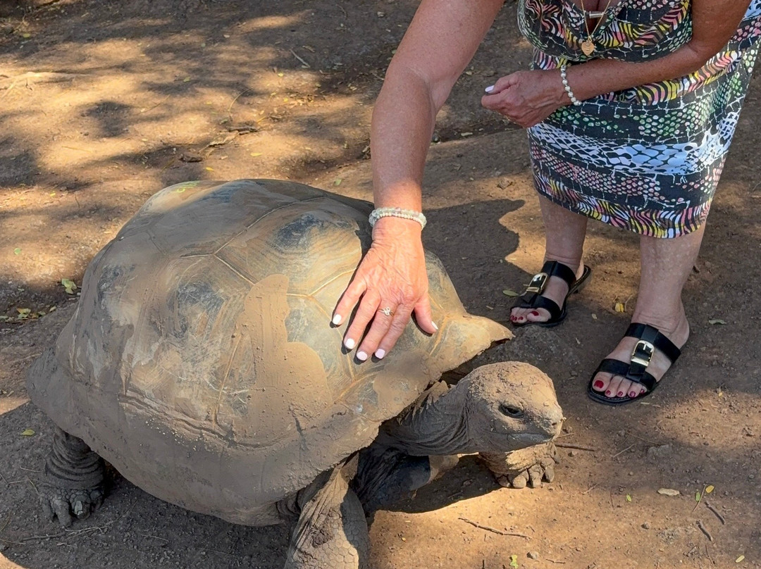Le Jardin Des Tortues