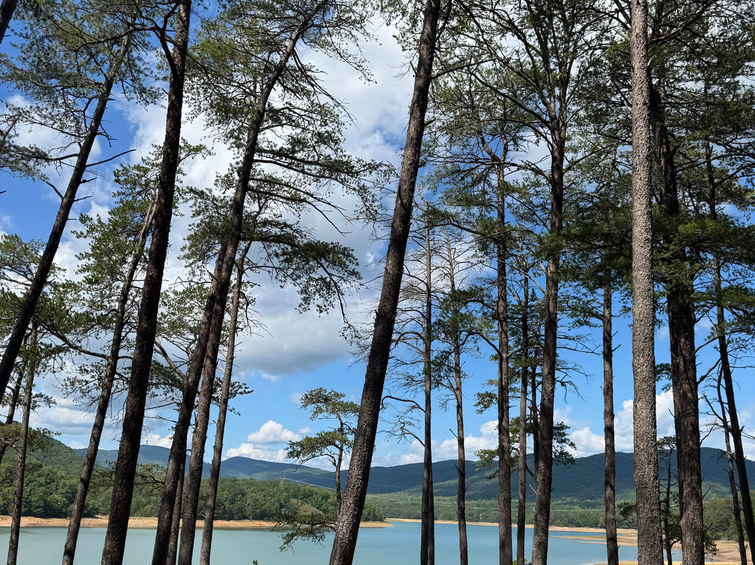 Carvins Cove Natural Reserve-罗阿诺克必去景点
