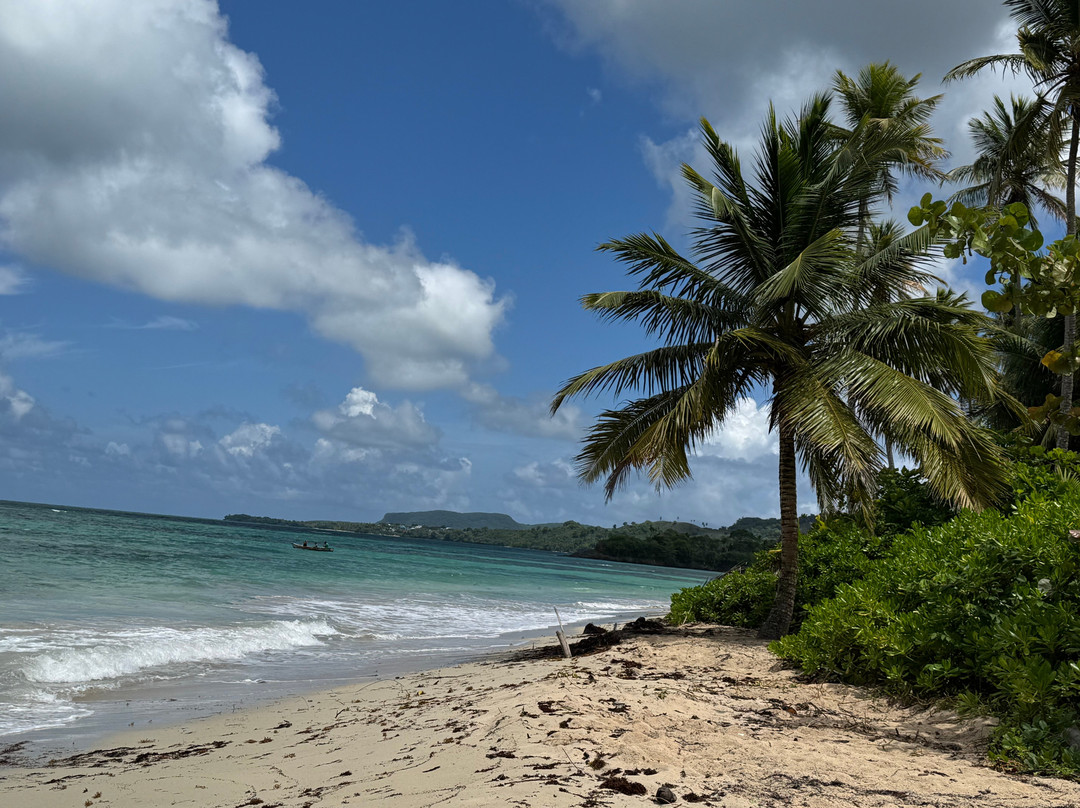 Playa Rincon-萨马纳半岛必去景点