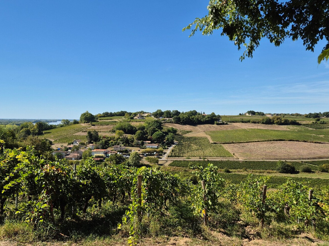 Château Cassagne Haut Canon-Saint-Michel-de-Fronsac必去景点