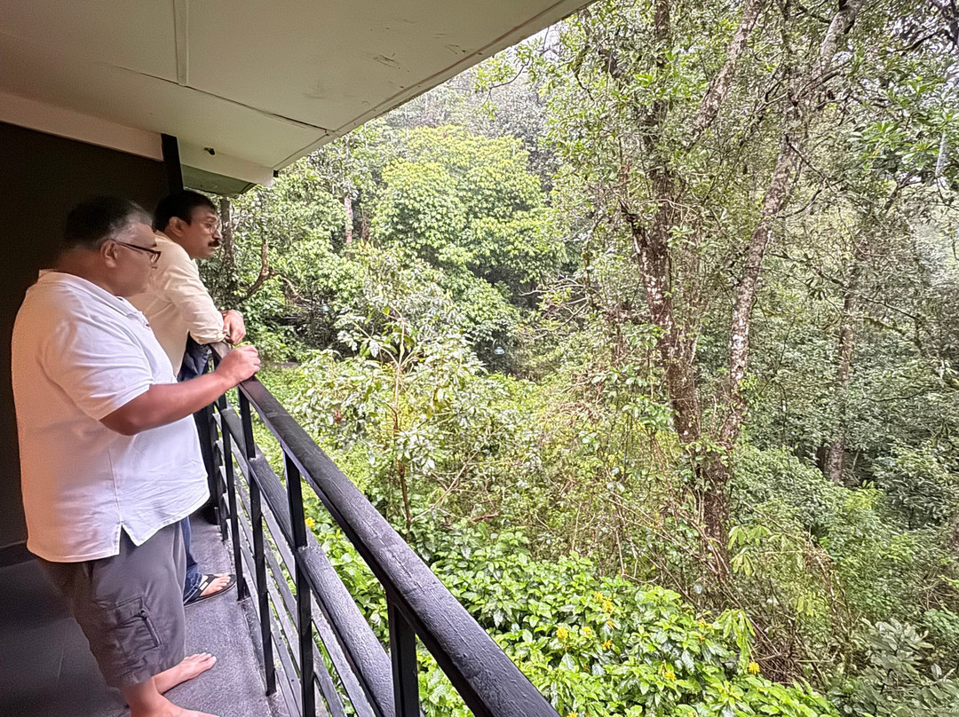 瓦亚纳德野外雨林旅馆-CGH地球酒店主图