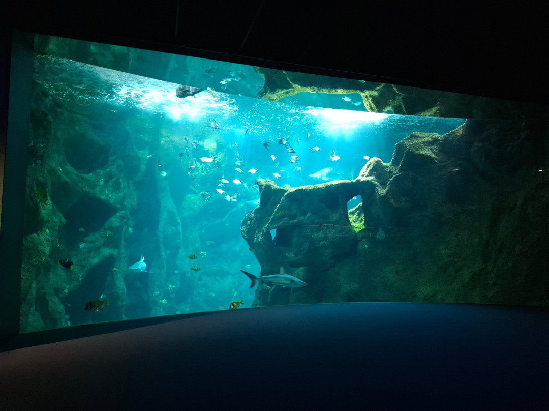 Aquarium La Rochelle-拉罗谢尔必去景点