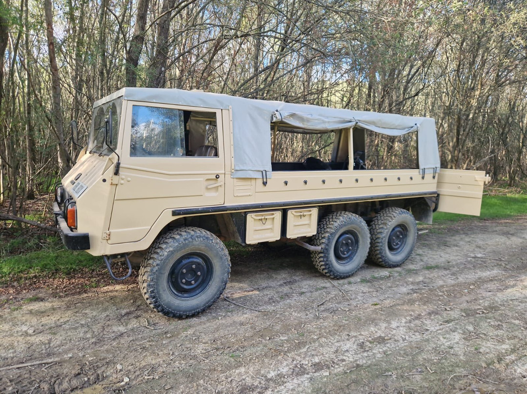 Knepp Wildland Safaris-霍舍姆必去景点