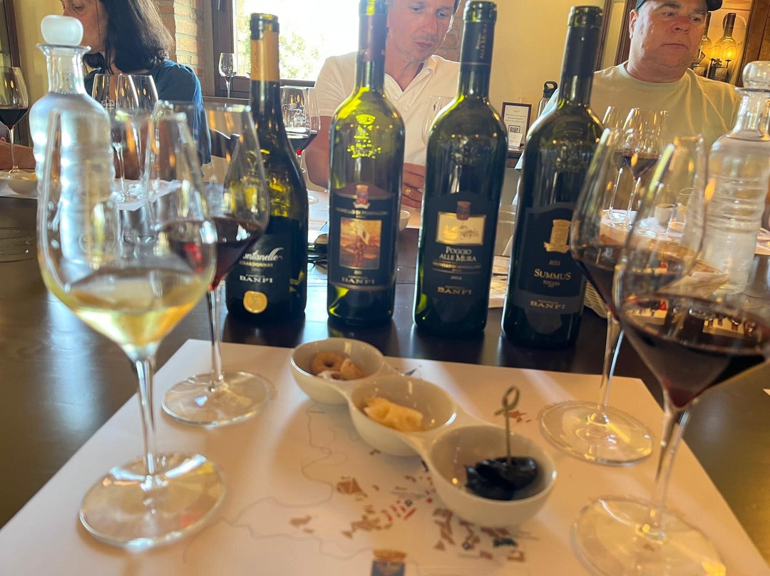 Castello Banfi - L' Enoteca-蒙塔尔奇诺必去景点