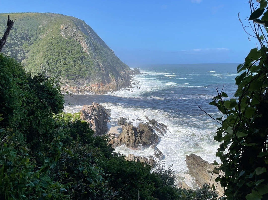 风暴河悬索桥-Tsitsikamma National Park必去景点
