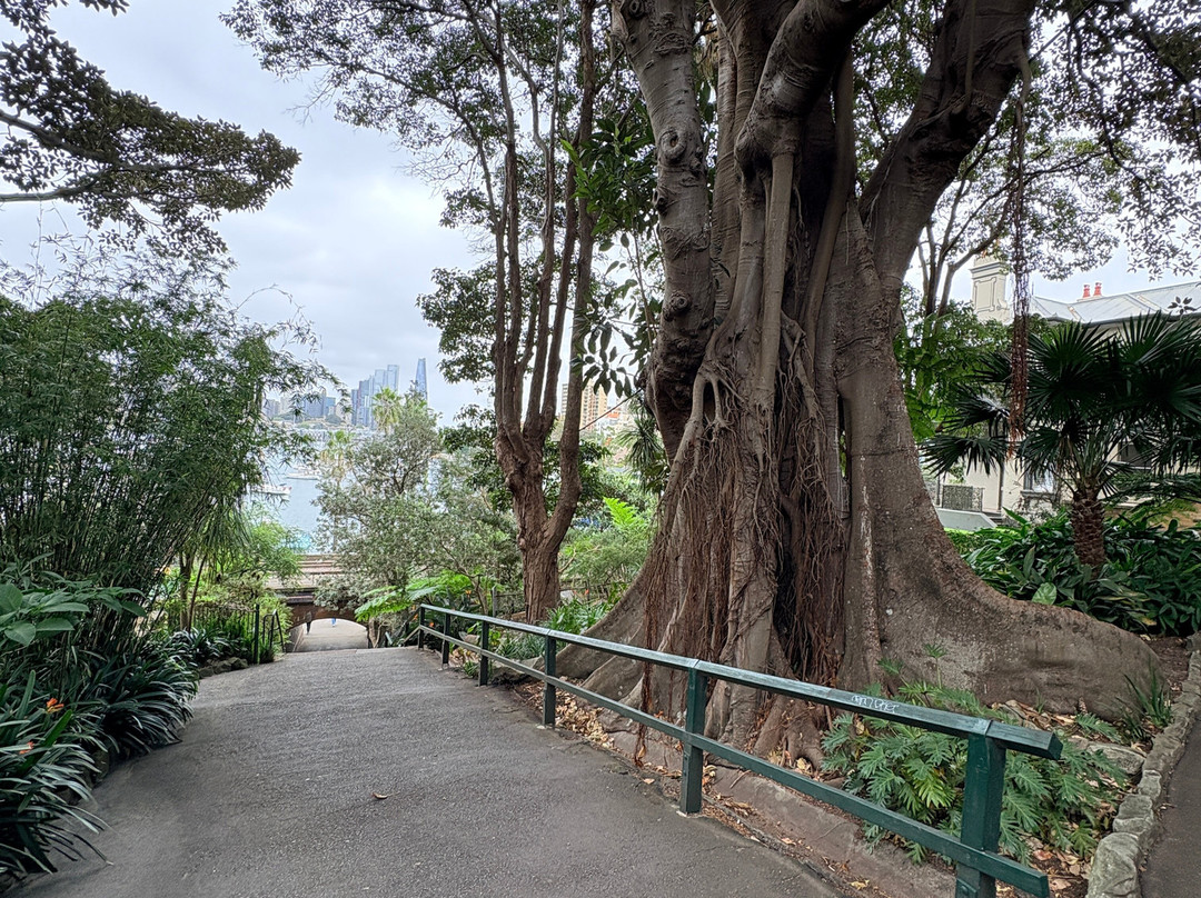 Wendy Whiteley's Secret Garden-北悉尼必去景点