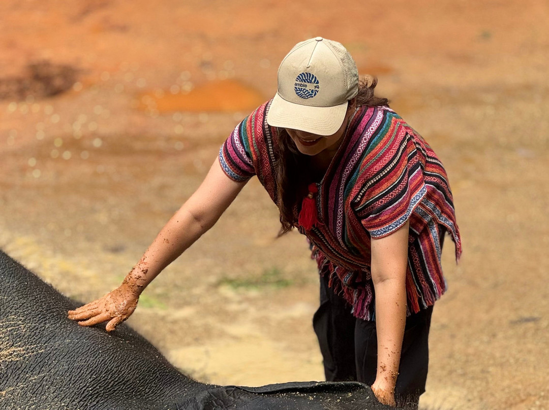 Phuket Elephant Care-奈通必去景点