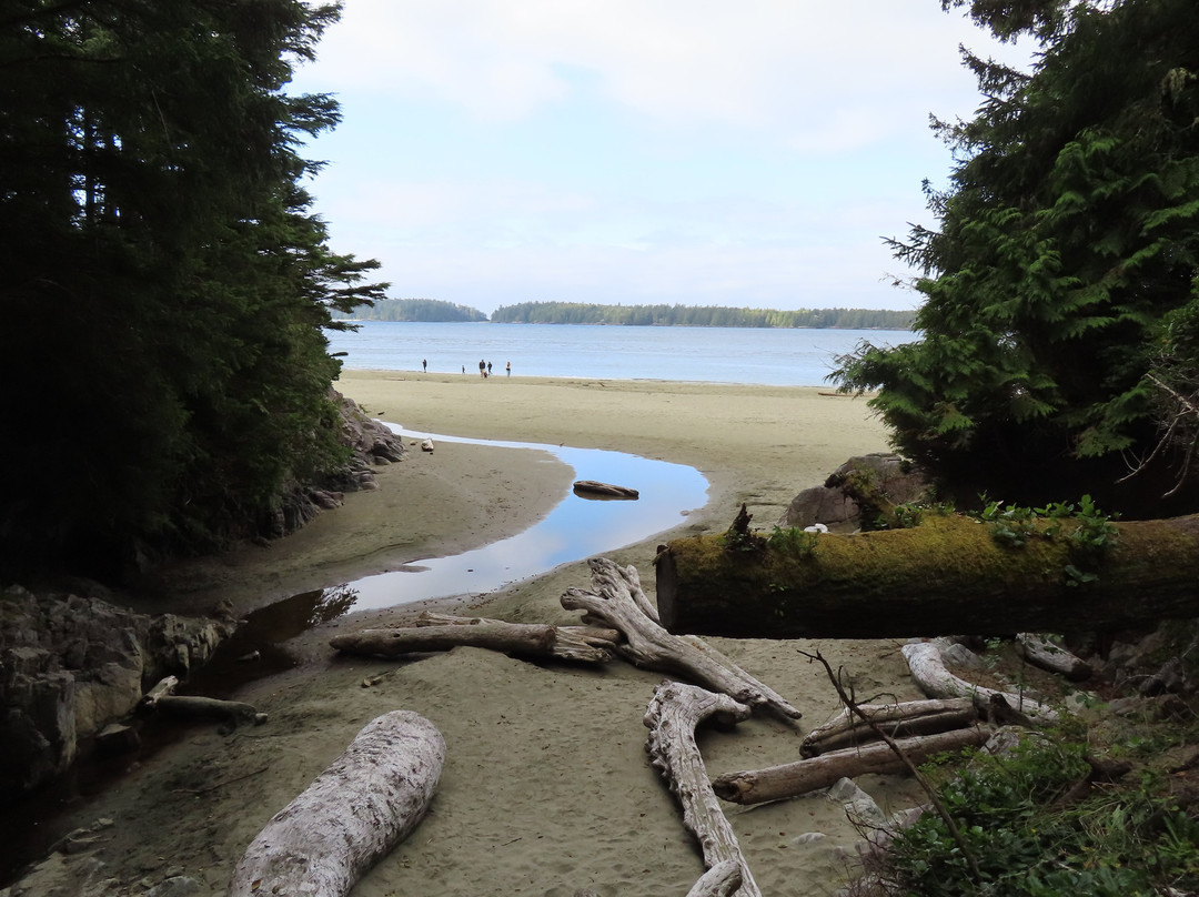 Tonquin Park-托菲诺必去景点