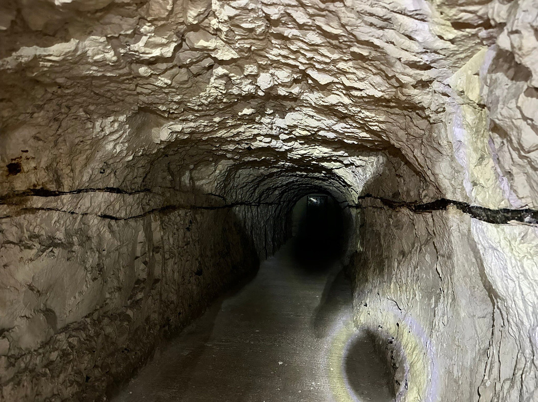 Fan Bay Deep Shelter and Gun Emplacement-多佛必去景点