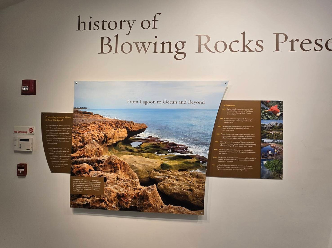 Blowing Rocks Nature Preserve-朱庇特必去景点