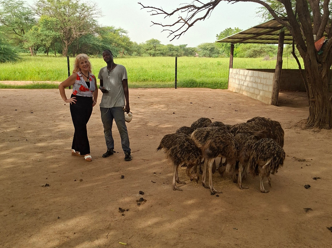 EXCURSIONS FROM HOTEL RIU BAOBAB-Ponto必去景点