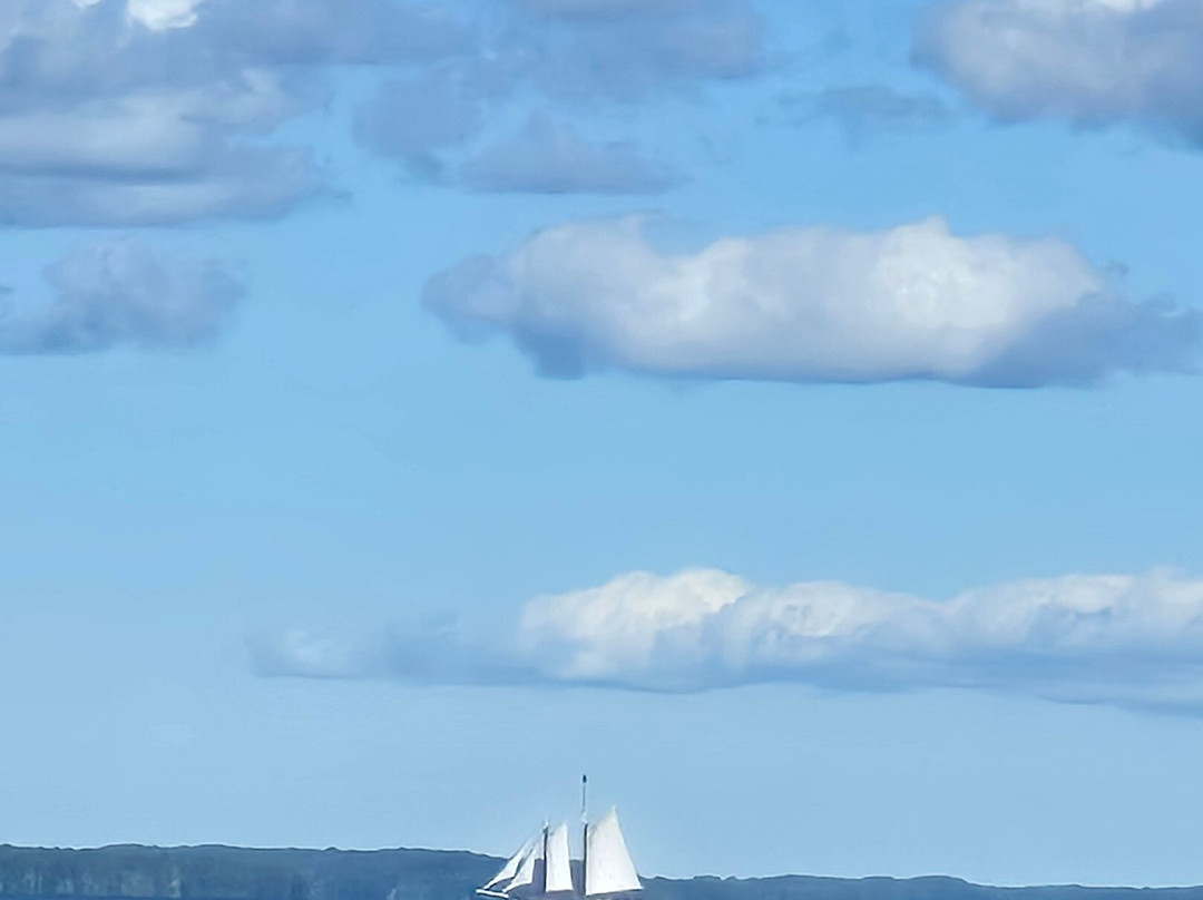 Grand Traverse Bay-特拉弗斯城必去景点
