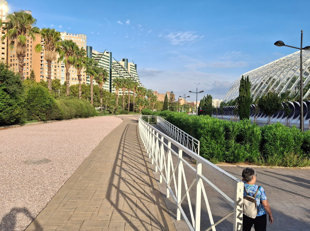 杜利亚古渠-巴伦西亚必去景点