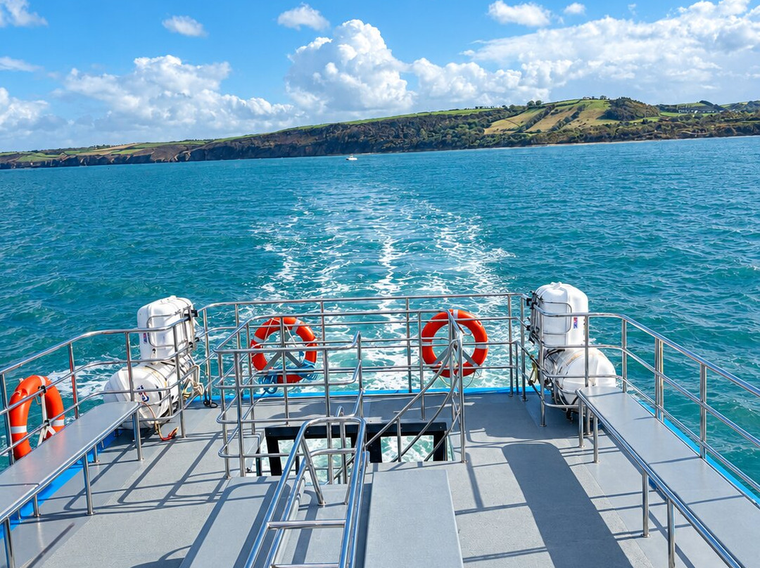 Dolphin Spotting Boat Trips (by New Quay Boat Trips)-纽基必去景点
