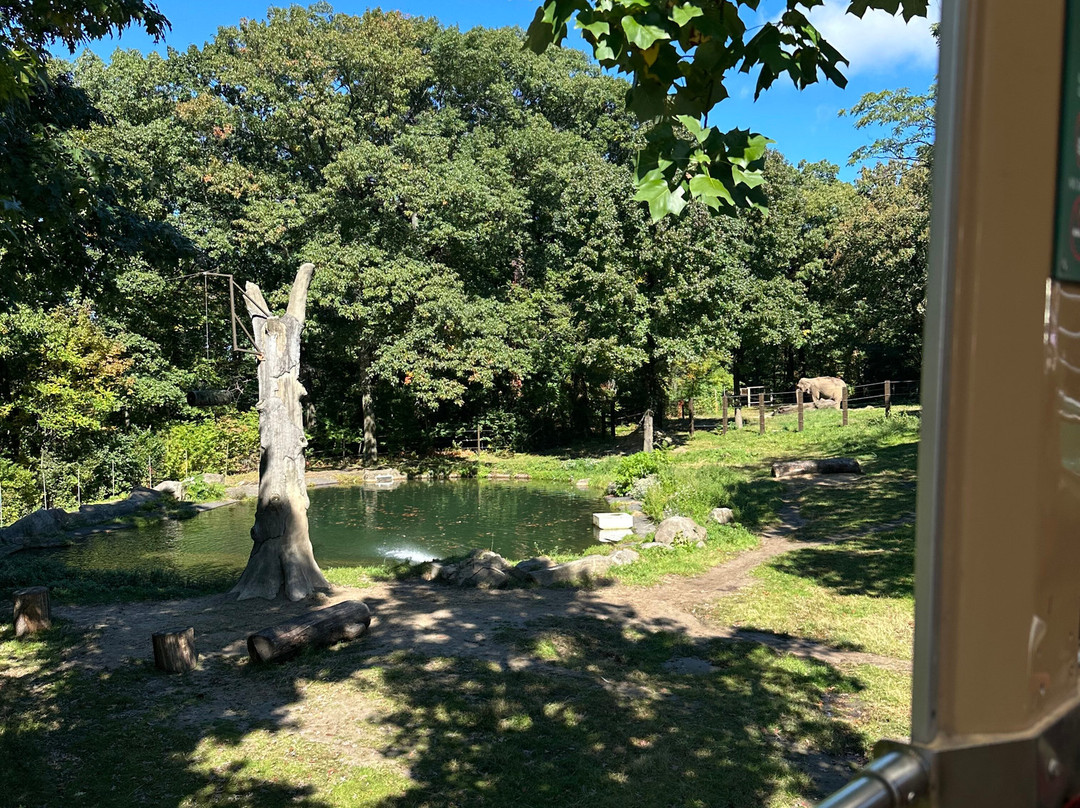 Bronx Zoo-布朗克斯必去景点