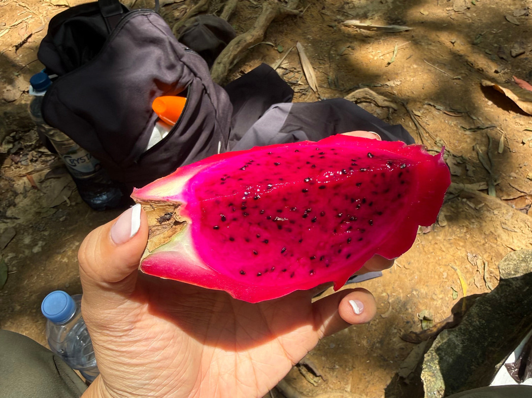 Sumatra Tour Adventures-武吉拉旺必去景点