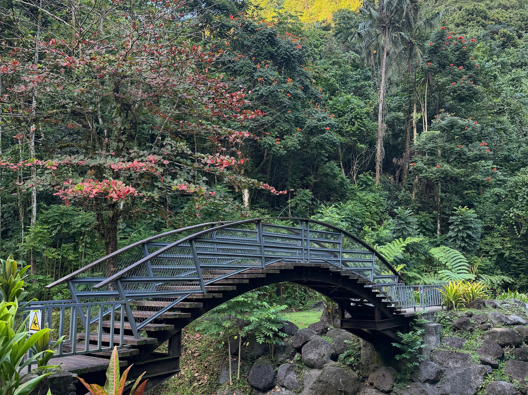 Faarumai Waterfalls-阿鲁埃必去景点