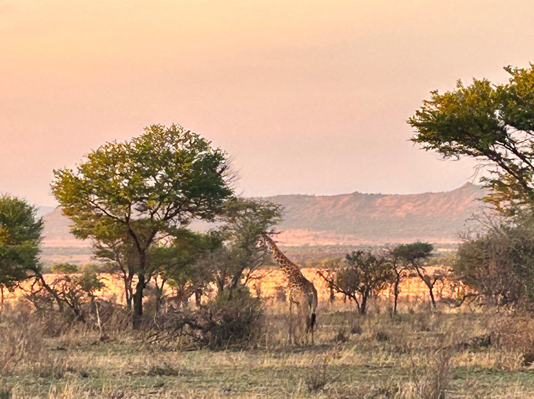 Tanzania-Experience-阿鲁沙必去景点