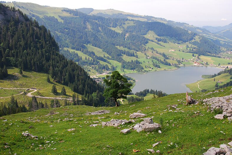 Parc Gruyère Pays-d'enhaut