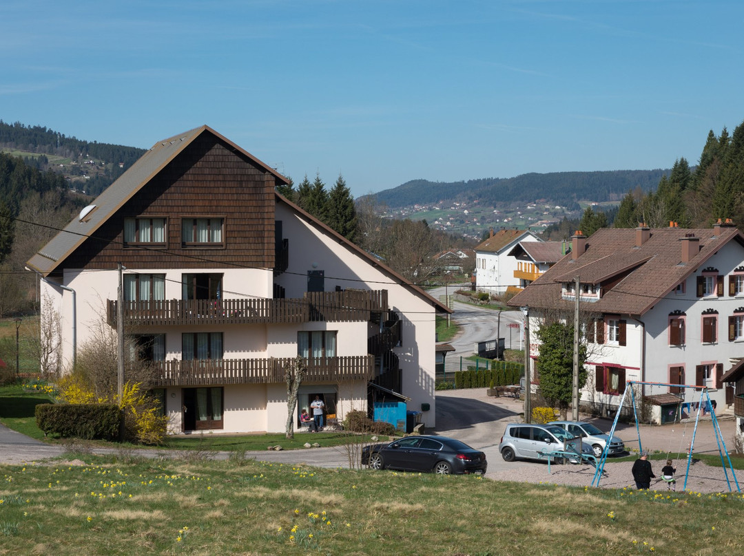 Xonrupt-Longemer酒店住宿-Les Myrtilles by Popinns