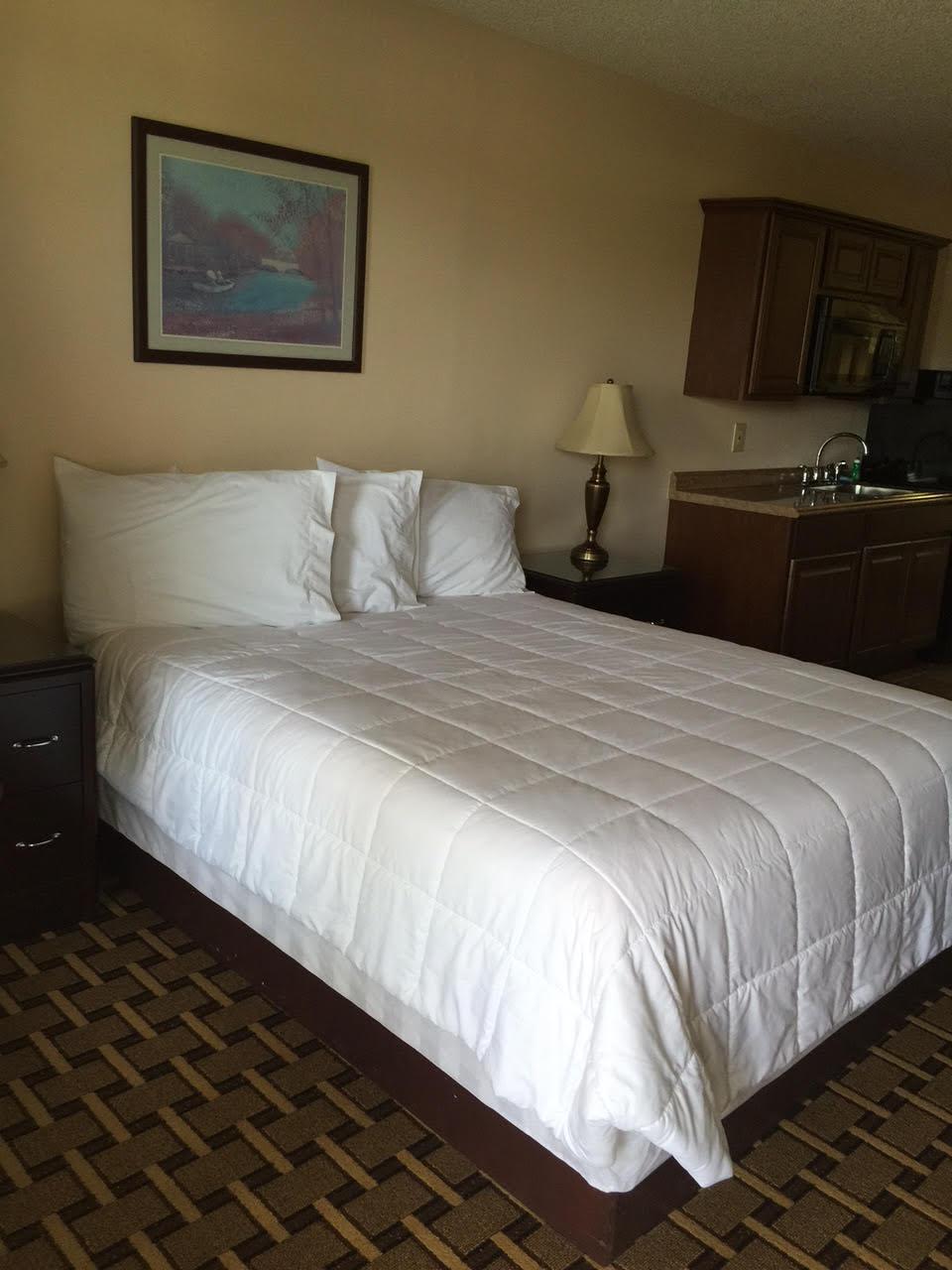 Palms Garden Inn-客卧
